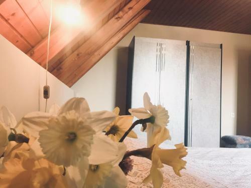Hostal Kerti Vend�gh�z