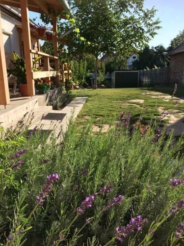 Apartamento Teraszos H�z