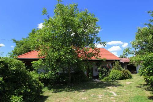 Hostal Bableves Vend�gh�z