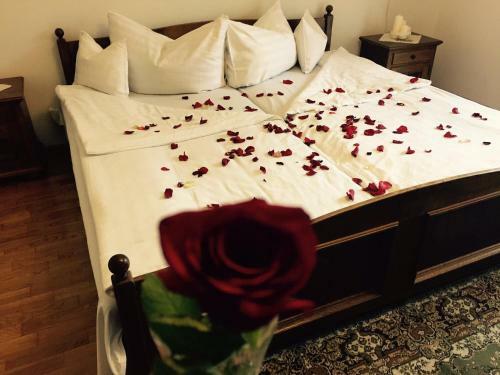 Hostal Zseri Vad�szh�z