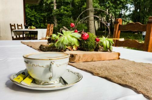 Hostal Zseri Vad�szh�z