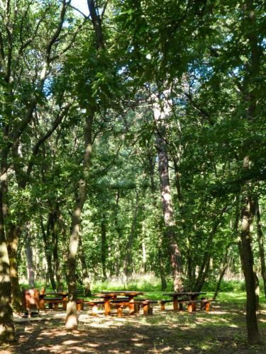 Hostal Zseri Vad�szh�z