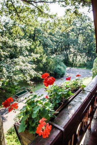 Hostal Zseri Vad�szh�z