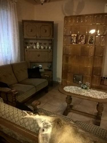 Hostal Fej�rv�ri Vend�gh�z