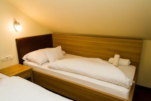 Corvina Hotel-restaurant