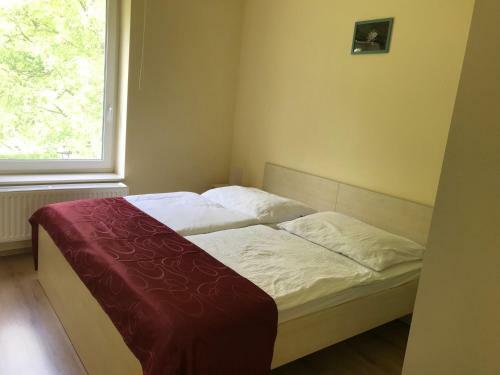 Suri Bau Apartman