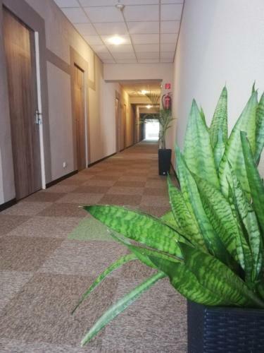 Sport Hotel