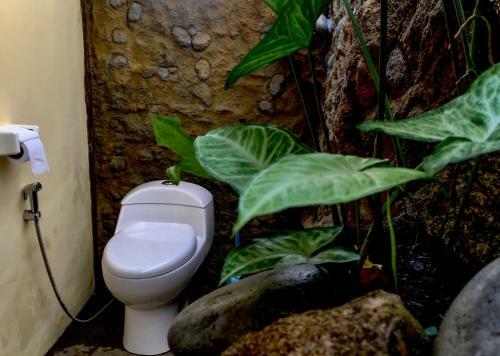 Hostal Villa Manouria - Marcel
