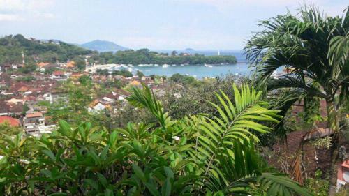 Hostal Villa Manouria - Marcel