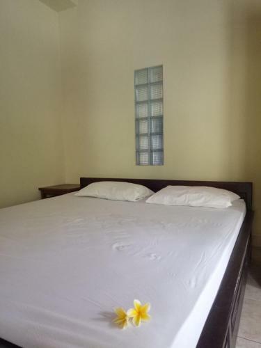 Hostal Mimba Private House