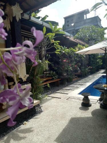 Hostal Mimba Private House