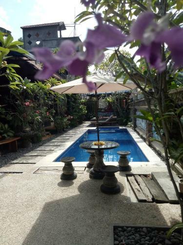 Hostal Mimba Private House