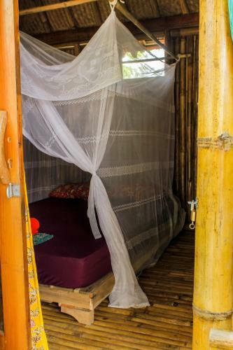 Hostal La Calypso Guesthouse