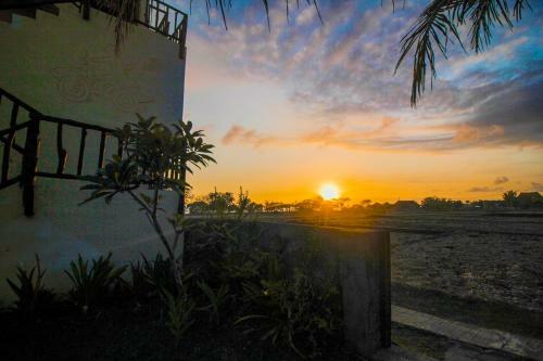 Hostal The Anara Surfing Camp