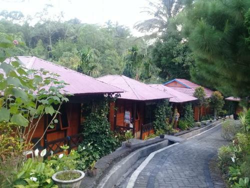Mountain View Resort & Spa