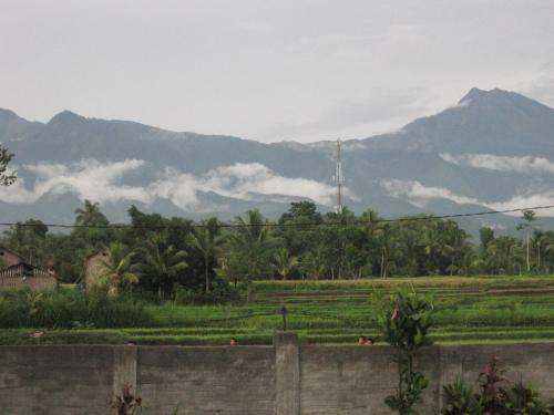 Hostal Pondok Tetebatu Cottages And Cafe