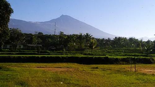 Hostal Pondok Tetebatu Cottages And Cafe