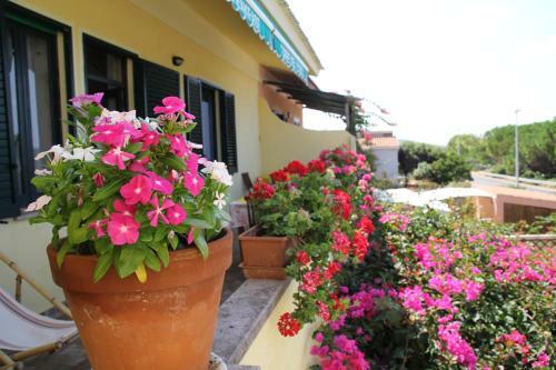 B&B Torre Del Pozzo