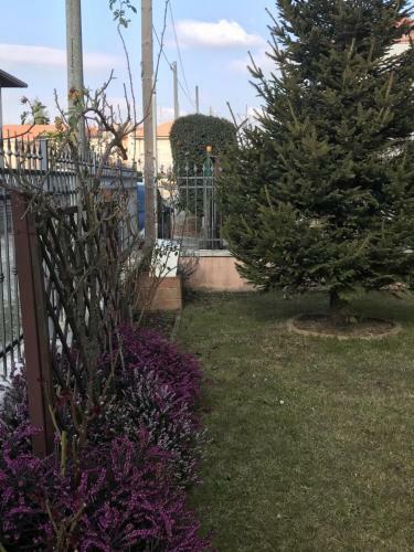 Color House Malpensa B&B