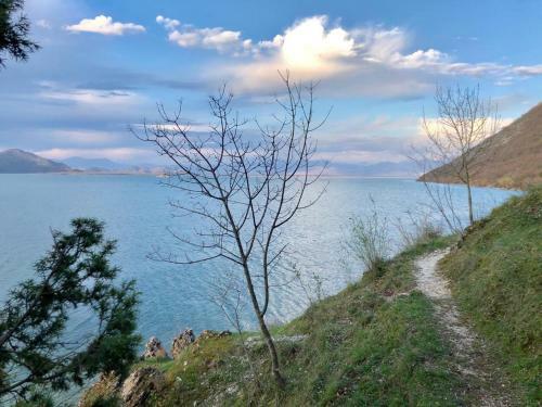 Skadar Lake Apartments Pajovic