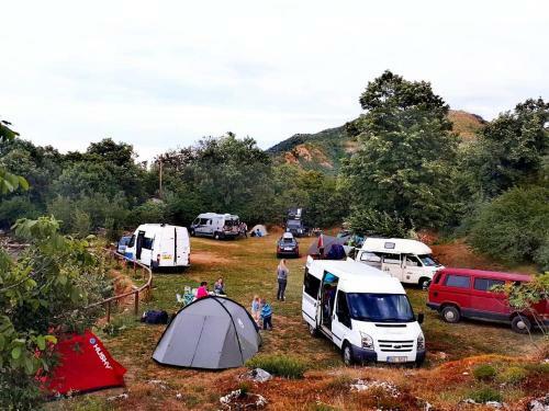 Camp Oaza,lipa