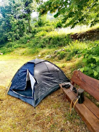 Camp Oaza,lipa