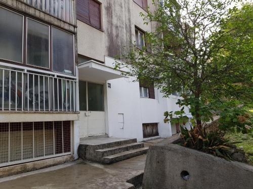 Apartment Mimi