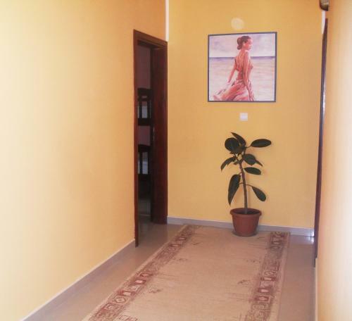 Apartments Sandra