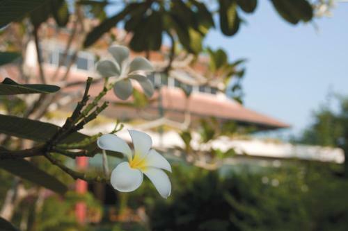 Hotel The Qamar Paka, Terengganu