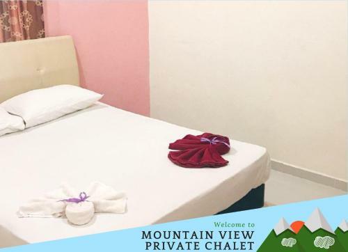 Mountain View Private Chalet
