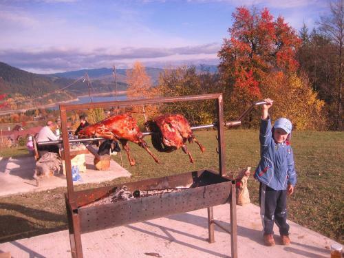 Hostal Pensiunea Ecotur