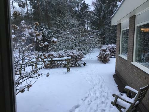 Het Fazantenbosje