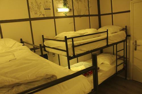 Hostel The Golden Stork