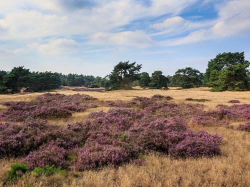 Holiday Home Zeumeren