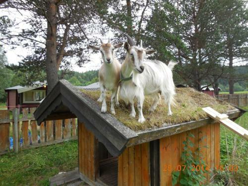 Halland Camping