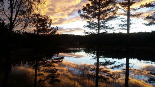 Apartamento Bj�rkeskogen
