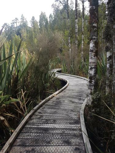 Hokitika Angling Club - Lake Kaniere