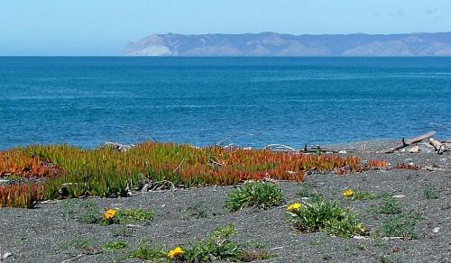 Bed & Breakfast Ocean View Beachfront Apartment
