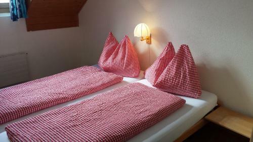 Hostal Berggasthaus Tannalp