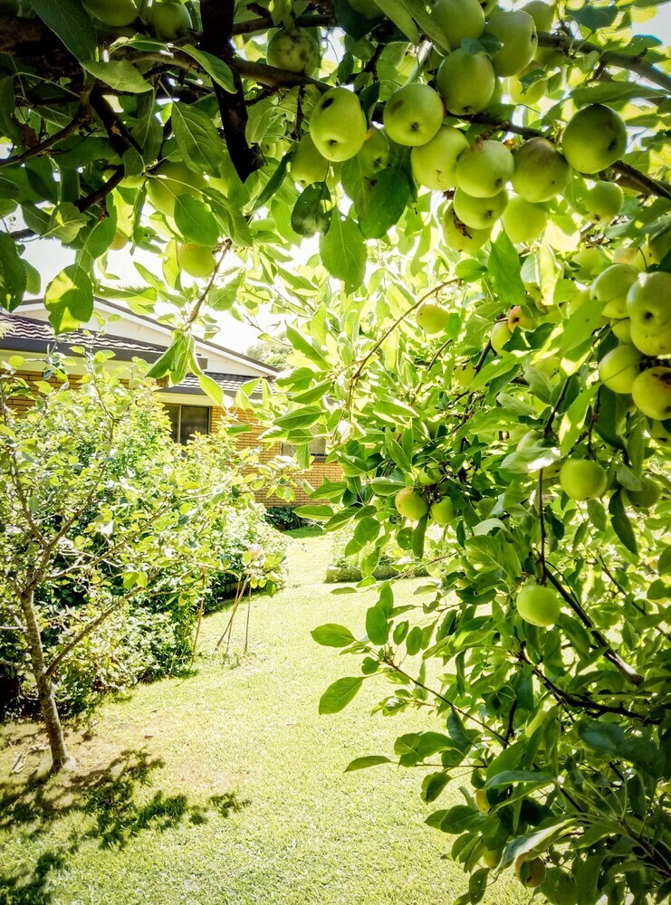 Paeroa Bed And Breakfast