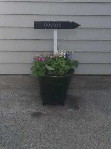 Bed & Breakfast Alfred's@115