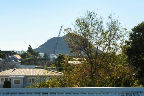 Family, Sun And Sporting Fun - Blake Park Mount Maunganui