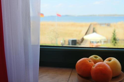 Hostal Avila Park & Spa