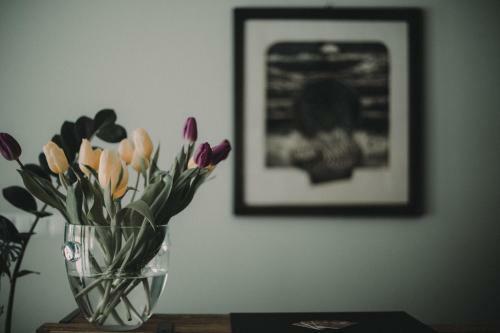 Bed & Breakfast Tulipanowy Go?ciniec