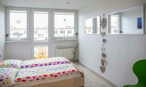 Apartament Go?cinny Magda
