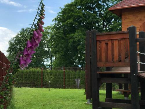 Hostal Bursztynowe Buki