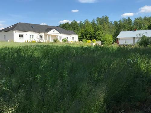 Bed & Breakfast Olszynowy Dw�r