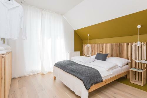 Colors Apartments