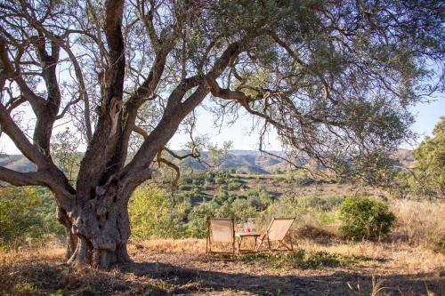 Agroturismo Monte Oliva - Turismo Rural