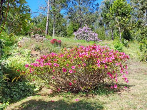 Agroturismo Haybarn Cottage By Ourmadeira